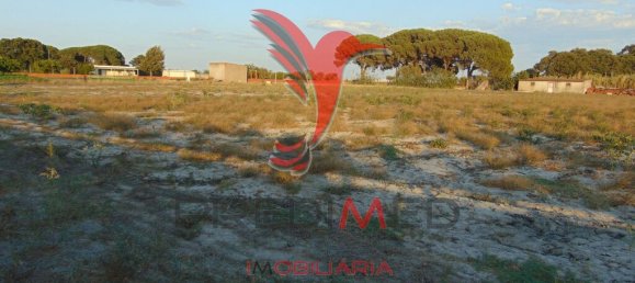 Grundstück in Alcochete, Portugal 13245m², Nr. 61514 7