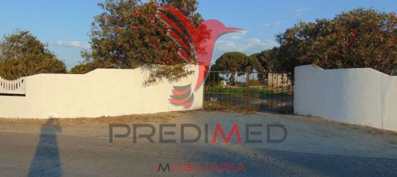 Grundstück in Alcochete, Portugal 13245m², Nr. 61514 4