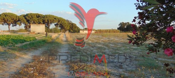 Grundstück in Alcochete, Portugal 13245m², Nr. 61514 8