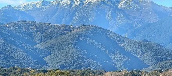 3 bedrooms Apartment in Ghisonaccia, France No. 40204 16