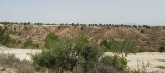 Land in Mula, Spain No. 145480 8