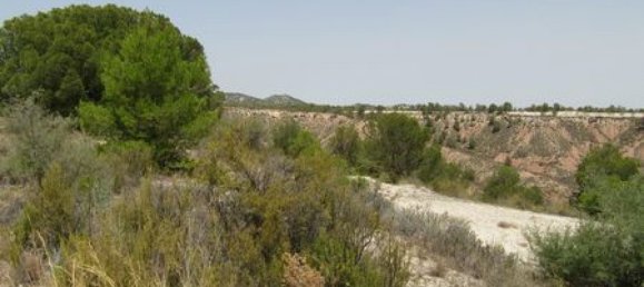 Land in Mula, Spain No. 145480 9
