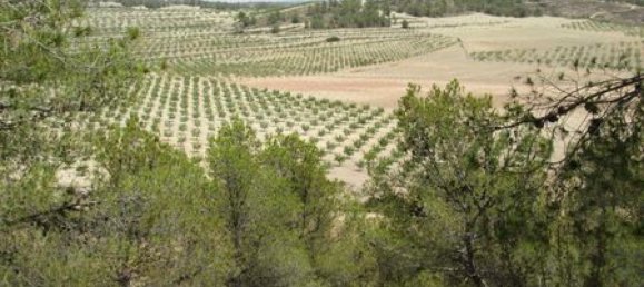 Land in Mula, Spain No. 145480 5