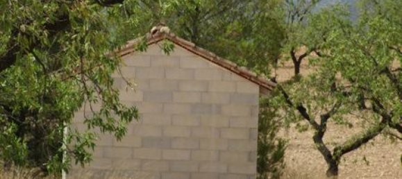 Land in Mula, Spain No. 145480 2