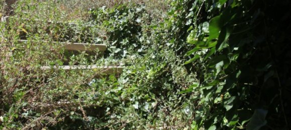 825m² House in Roda De Bara, Spain No. 358 13