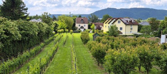 Terreno em Langenzersdorf, Austria N.º 63639 3