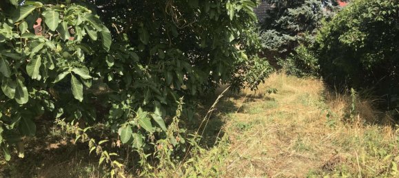 11 rooms Townhouse in Borde, Germany No. 146891 7