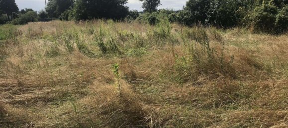 11 rooms Townhouse in Borde, Germany No. 146891 6