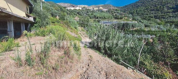 1 room Warehouse in Arnasco, Italy No. 303716 4