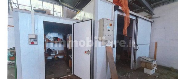 1 room Warehouse in Arnasco, Italy No. 303716 11