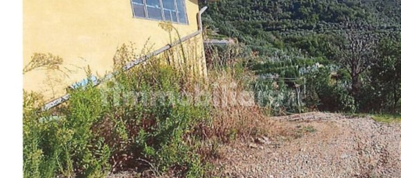 1 room Warehouse in Arnasco, Italy No. 303716 5