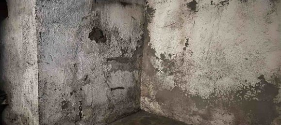 4 rooms Apartment in Tuscania, Italy No. 203174 28