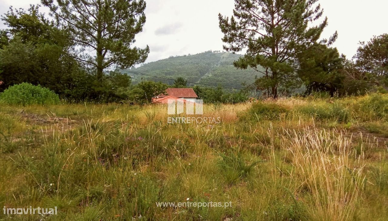  قطعة أرض في Viana do Castelo, Portugal 351متر مربع رقم 59144