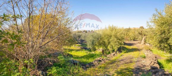 15000m² Land in Paternò, Italy No. 55750 17