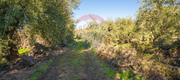 15000m² Land in Paternò, Italy No. 55750 7