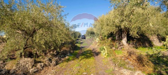 15000m² Land in Paternò, Italy No. 55750 24