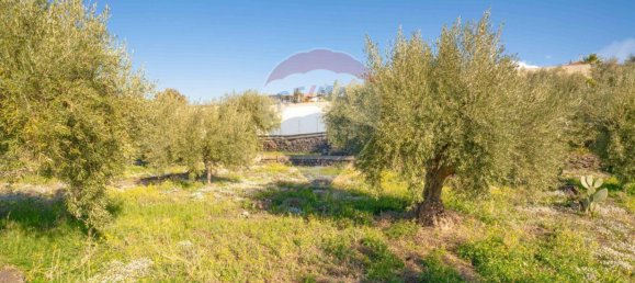 15000m² Land in Paternò, Italy No. 55750 15