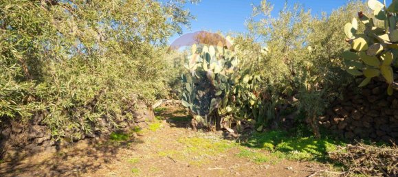 15000m² Land in Paternò, Italy No. 55750 6