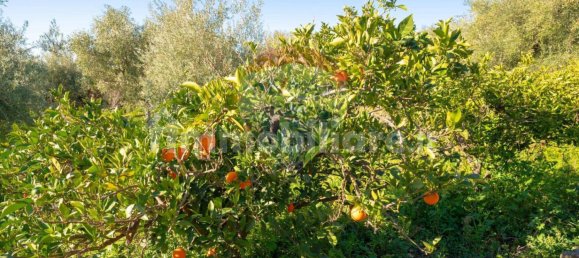 15000m² Land in Paternò, Italy No. 55750 5