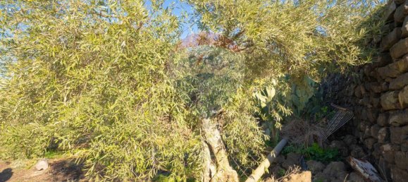 15000m² Land in Paternò, Italy No. 55750 4