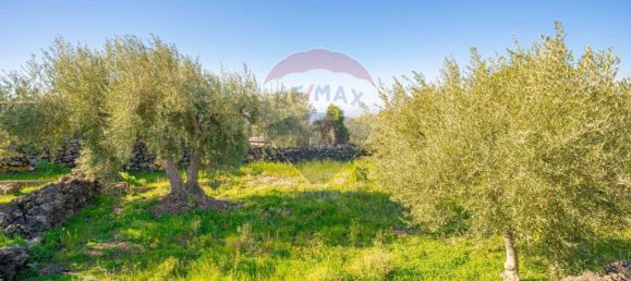 15000m² Land in Paternò, Italy No. 55750 16