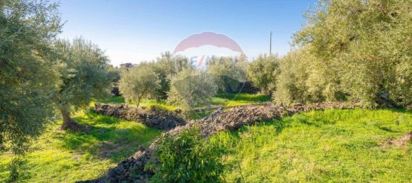 15000m² Land in Paternò, Italy No. 55750 9