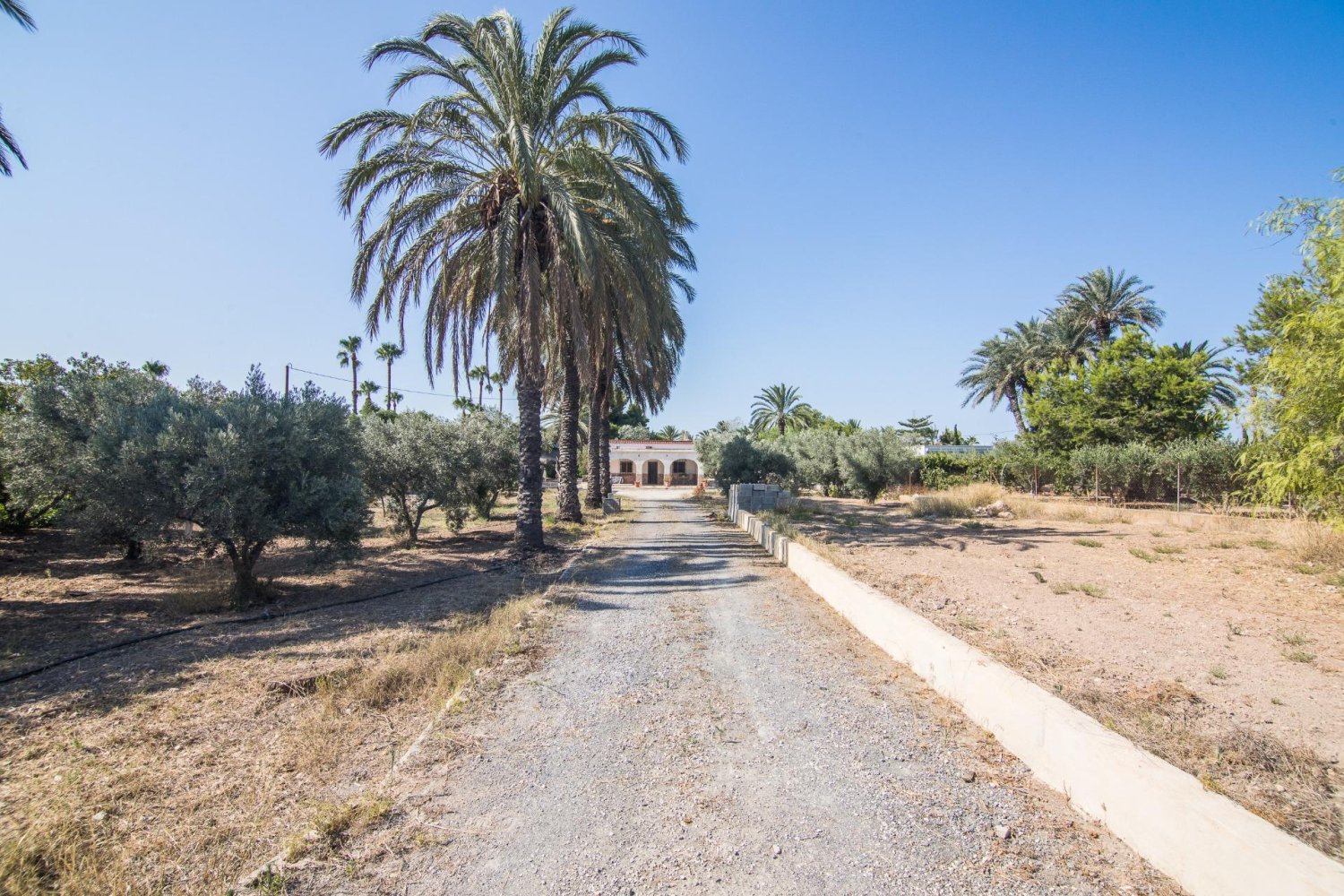 2 bedrooms House in Alicante, Spain No. 238829