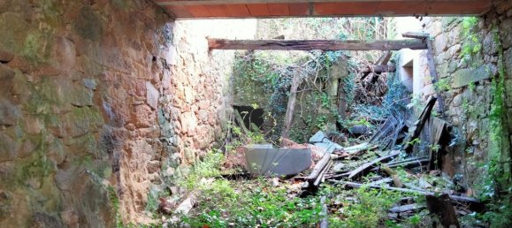 4 bedrooms House in Moimenta da Beira, Portugal No. 164859 5