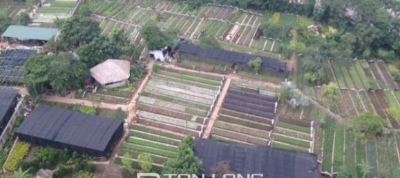 3 bedrooms Apartment in Tay Ho, Vietnam No. 243 10