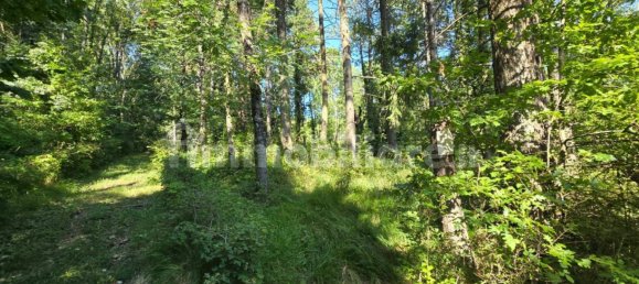 10 Schlafzimmer Haus in Firenzuola, Italy, Nr. 361870 15