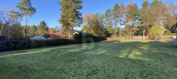  قطعة أرض في Barnim, Germany رقم 104380 3