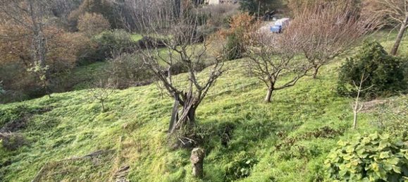 5 غرف نوم فيلا في Vila Real, Portugal رقم 124776 27