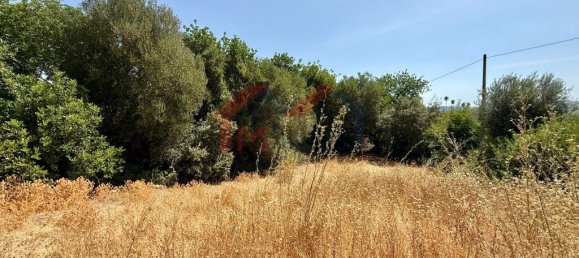Terreno em São Brás de Alportel, Portugal 1300 m² N.º 293231 3