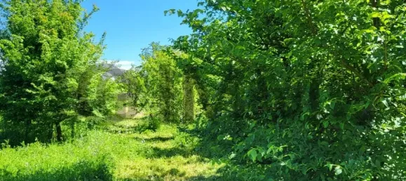 1754m² Land in Uzes, France No. 202960 2