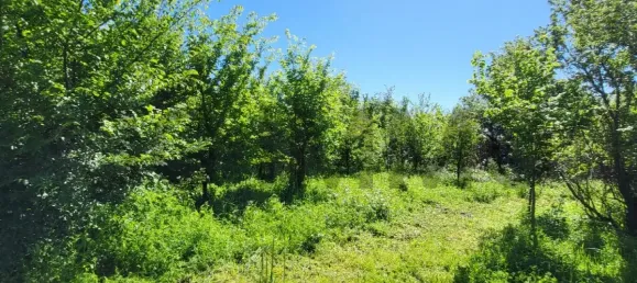 1754m² Land in Uzes, France No. 202960 4