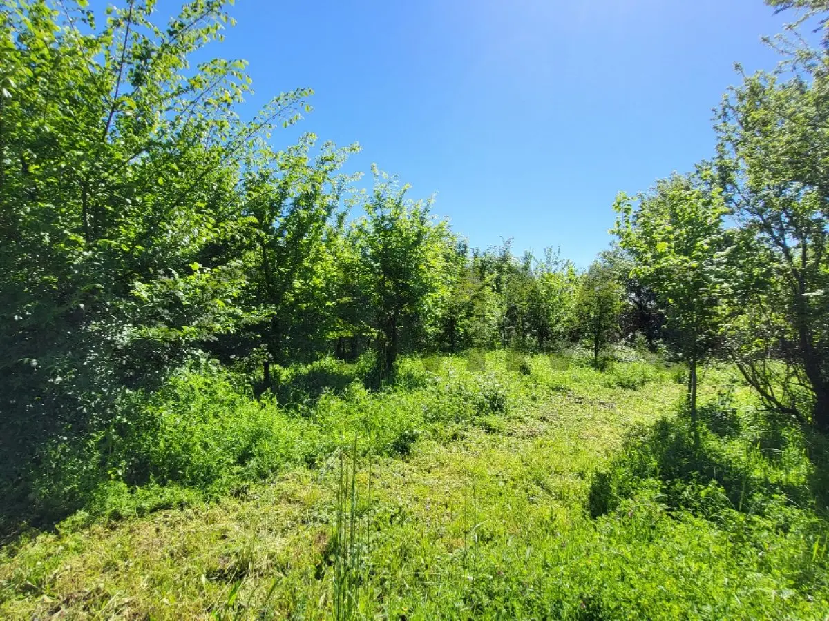 1754m² Land in Uzes, France No. 202960