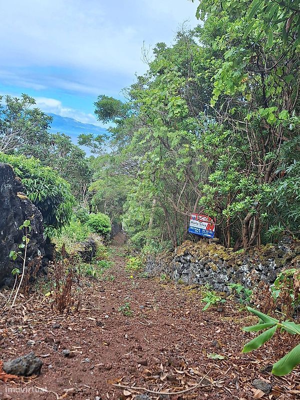 قطعة أرض في Sao Roque do Pico, Portugal 4656متر مربع رقم 262078
