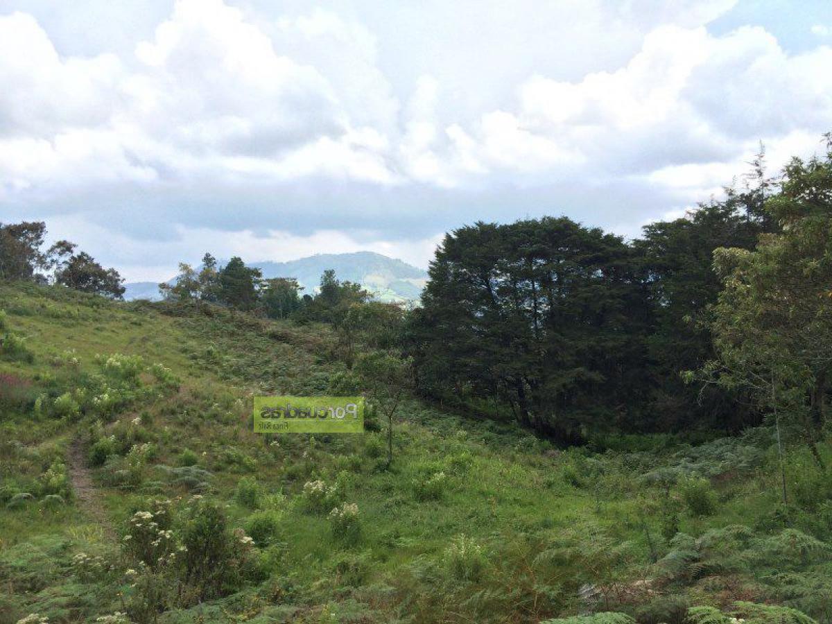  Land in Antioquia, Colombia No. 524
