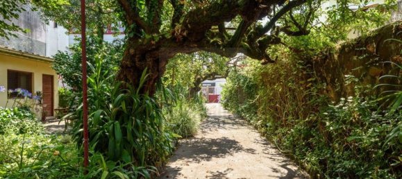 8 bedrooms House in Povoa de Varzim, Portugal No. 116065 12