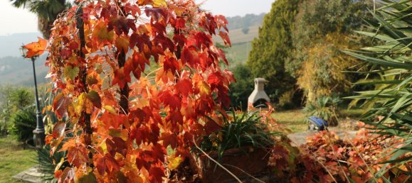 10 rooms Villa in Osimo, Italy No. 4559 18