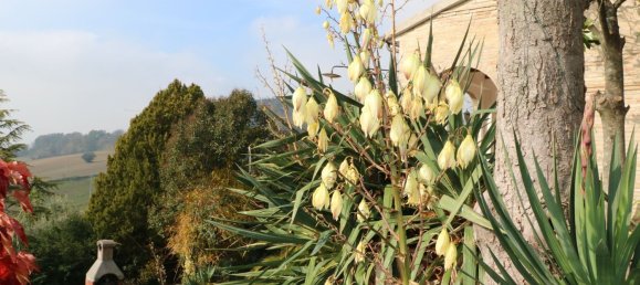 10 rooms Villa in Osimo, Italy No. 4559 32