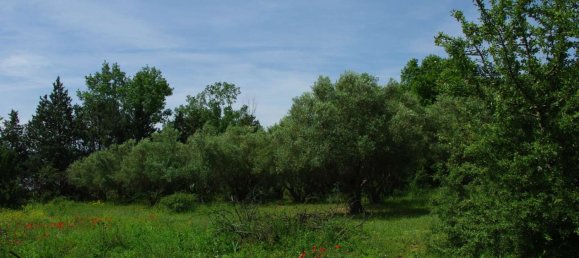  عقار تجاري في Vasilika, Greece 200متر مربع رقم 3386 14