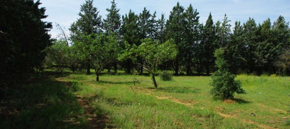  عقار تجاري في Vasilika, Greece 200متر مربع رقم 3386 13