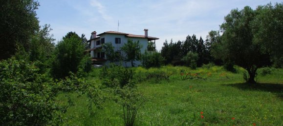  عقار تجاري في Vasilika, Greece 200متر مربع رقم 3386 9