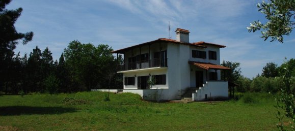  عقار تجاري في Vasilika, Greece 200متر مربع رقم 3386 3