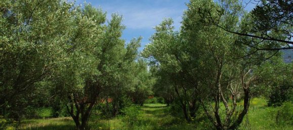  عقار تجاري في Vasilika, Greece 200متر مربع رقم 3386 12