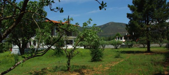  عقار تجاري في Vasilika, Greece 200متر مربع رقم 3386 8