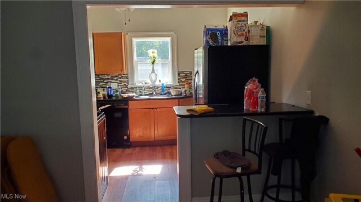 4 Schlafzimmer Haus in Cleveland Heights, USA, Nr. 381544