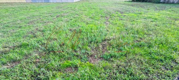 1232m² Land in Oia, Portugal No. 97479 4