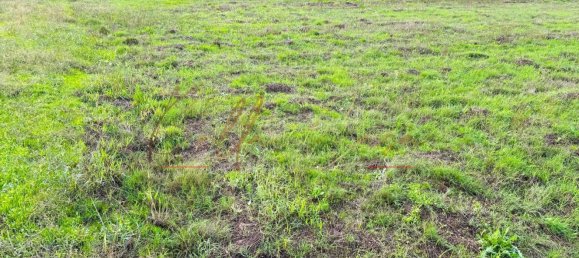 1232m² Land in Oia, Portugal No. 97479 6